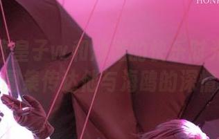 w百合欧皇子w和沙滩的快乐时光：原图展示，图集传达他与海鸥的深情对话！