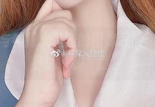 夏鸣蝉与神探火狸狸的图库联盟，分享夏日的“蝉”情！