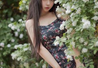 黑猫猫ovo的蔷薇合集里，别小看这些资源，每张都有故事